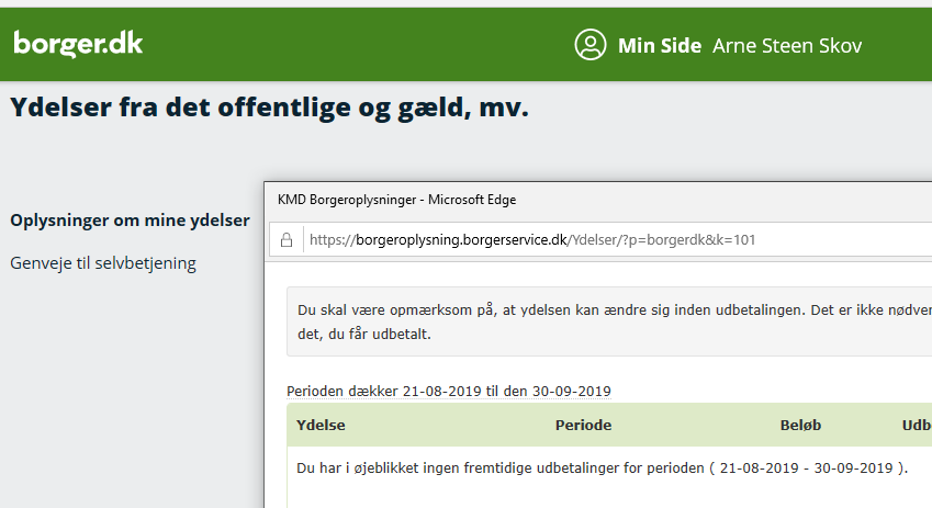 Problemer På Borger.dk ~ InfoShare It Support